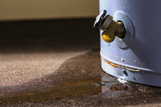 Best Sewage cleanup and water damage restoration  in St Hedwig, TX