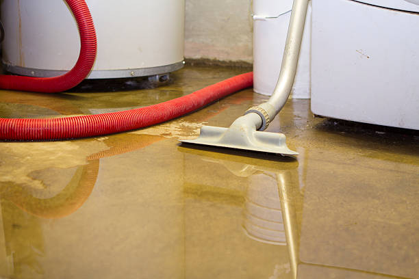 Best Sewage cleanup and water damage restoration  in St Hedwig, TX